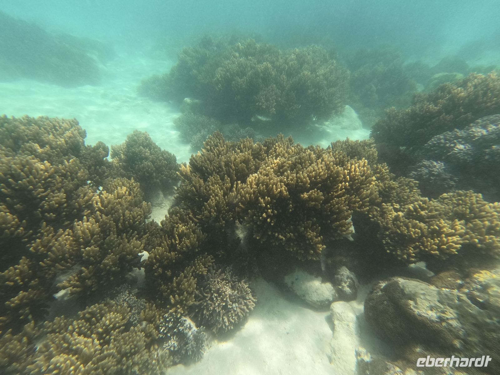 170.06 – Australien, Great Barrier Reef