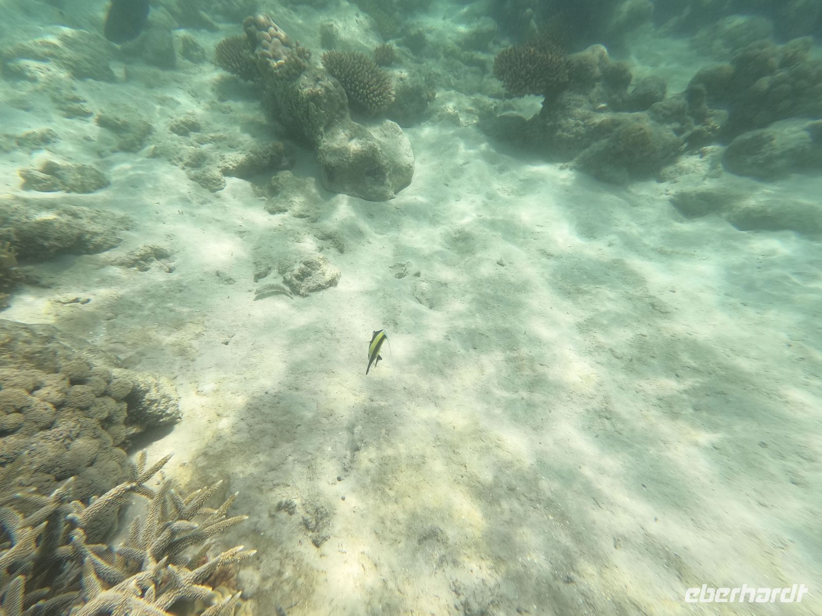 170.25 – Australien, Great Barrier Reef