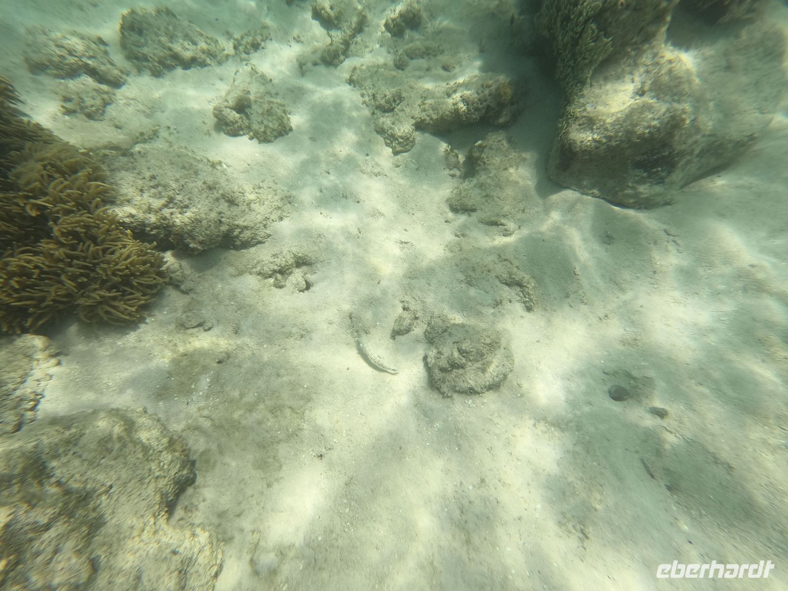 170.26 – Australien, Great Barrier Reef