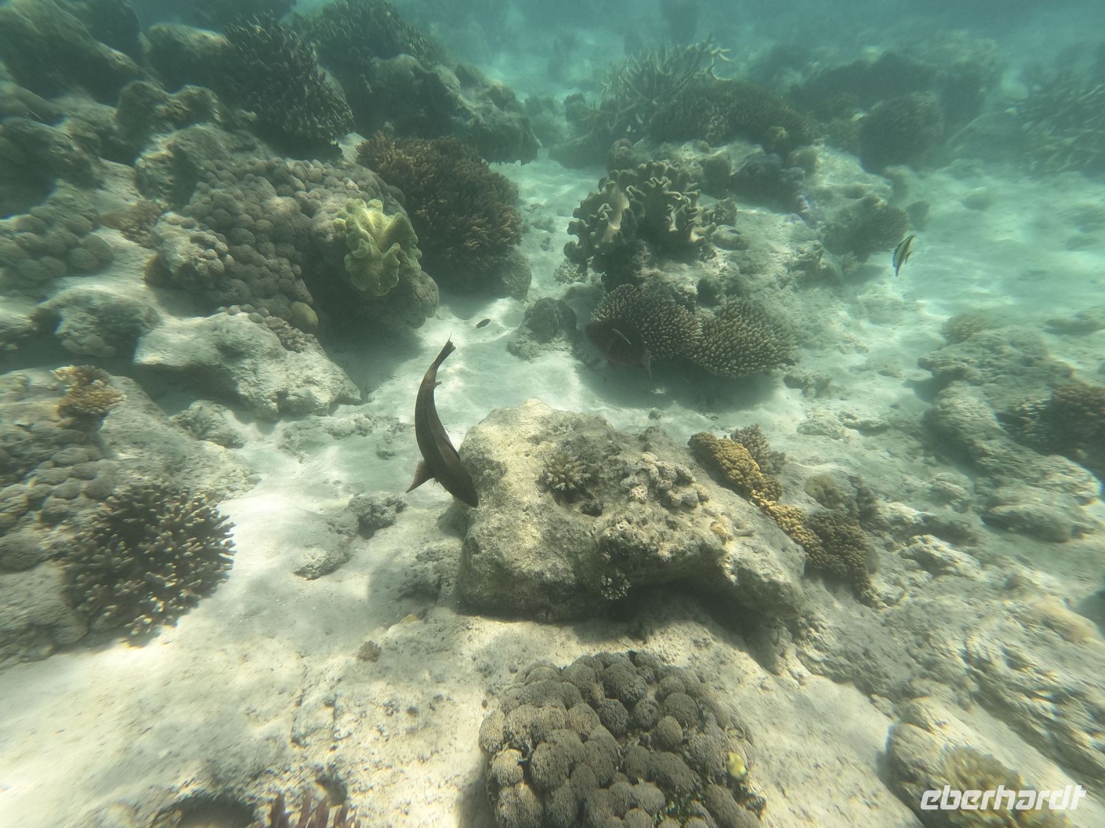 170.28 – Australien, Great Barrier Reef