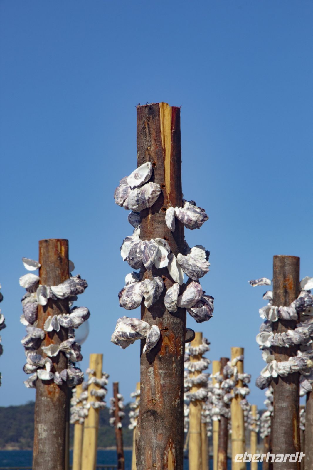 191 – Australien, Sydney