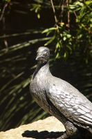 205 – Australien, Blue Mountains