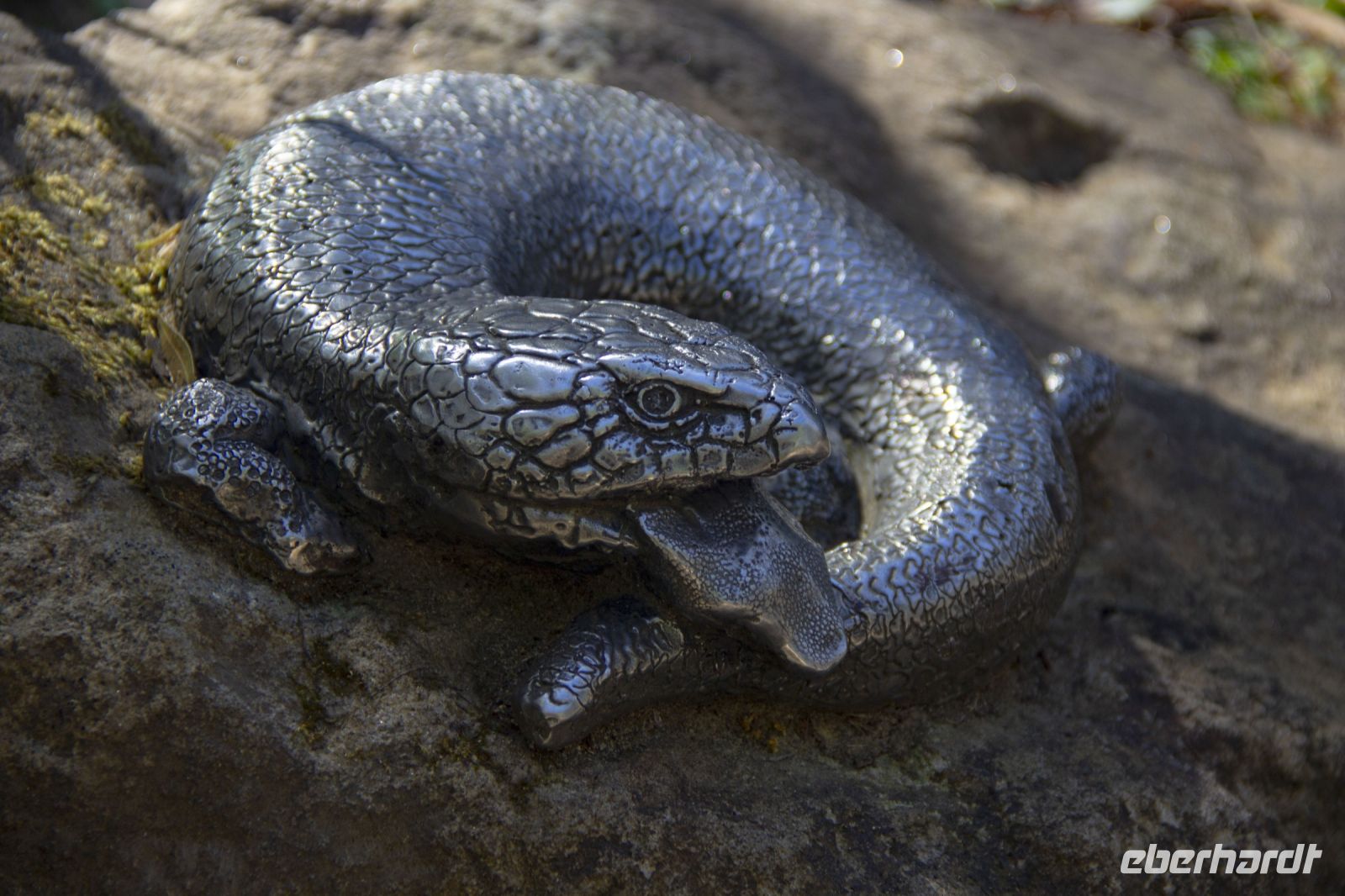 209 – Australien, Blue Mountains