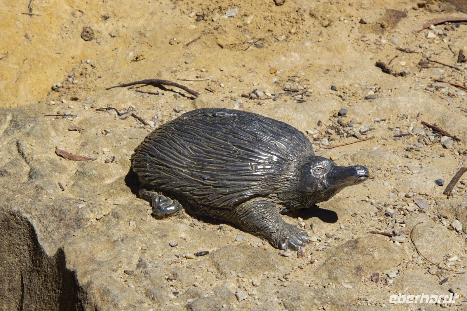 210 – Australien, Blue Mountains