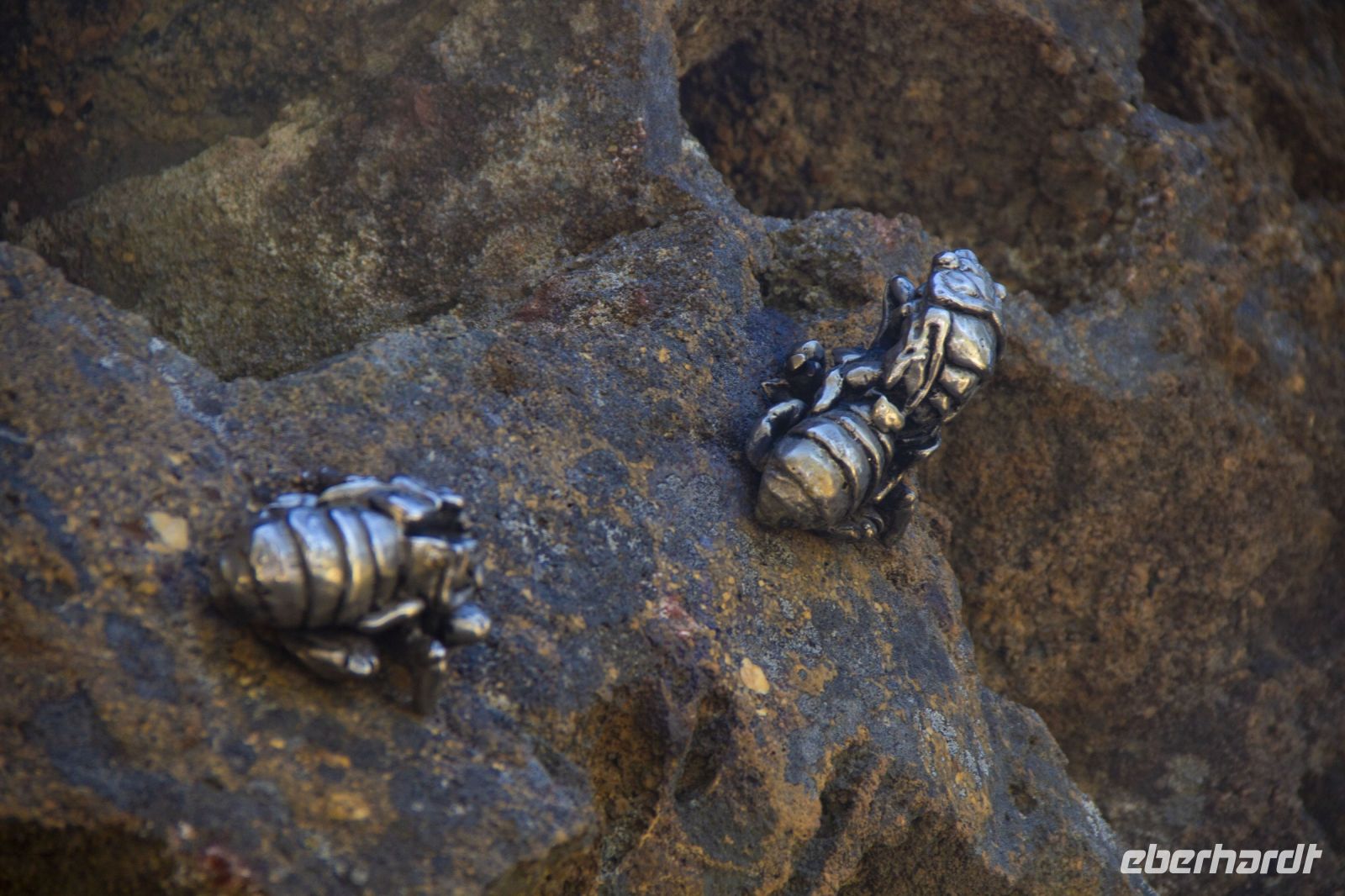 211 – Australien, Blue Mountains