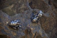 211 – Australien, Blue Mountains