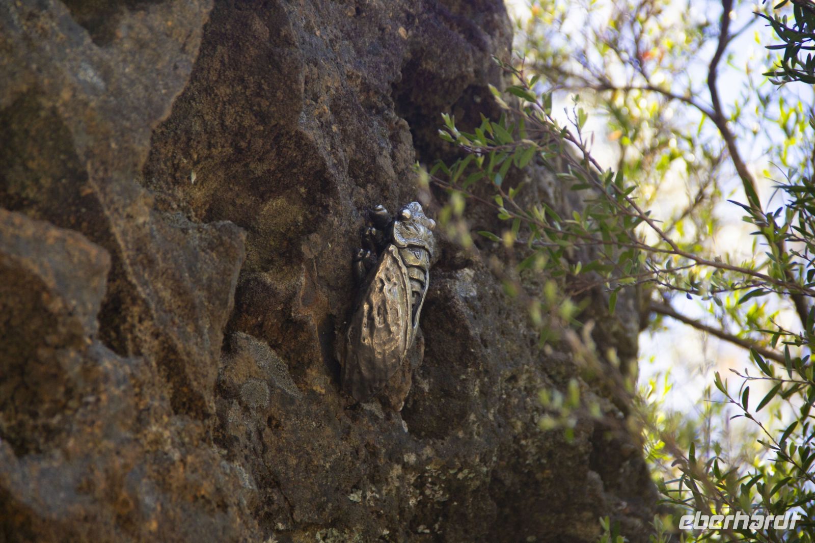 212 – Australien, Blue Mountains