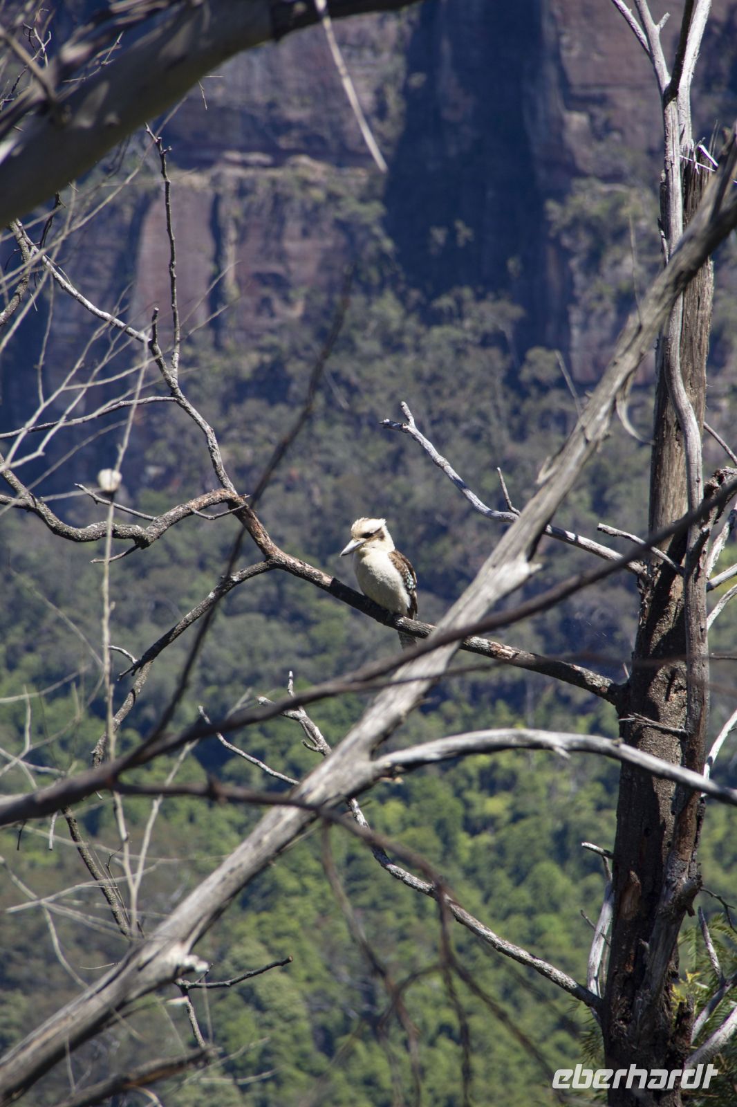 216 – Australien, Blue Mountains