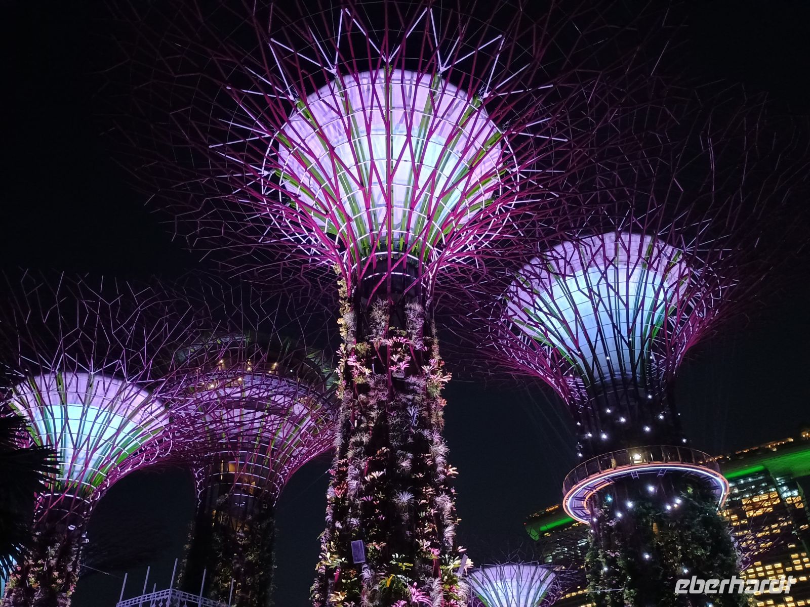 Singapur - Supertrees 