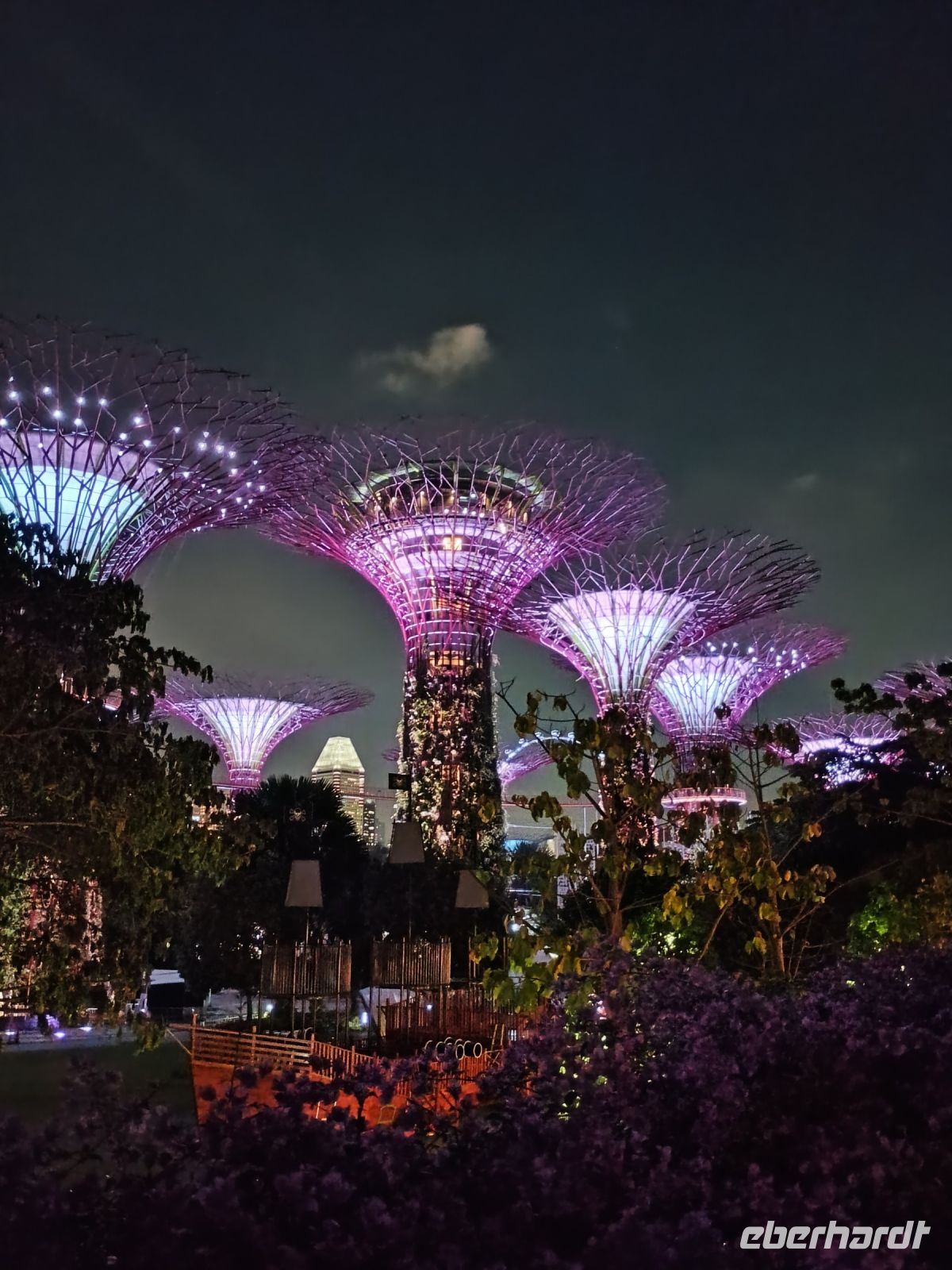 Singapur - Supertrees Lichtershow