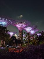 Singapur - Supertrees Lichtershow