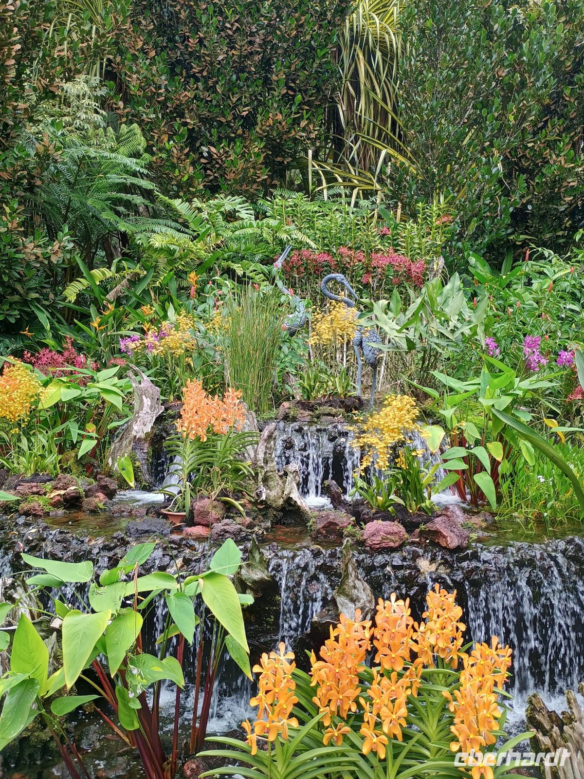 Singapur - Botanischer Garten