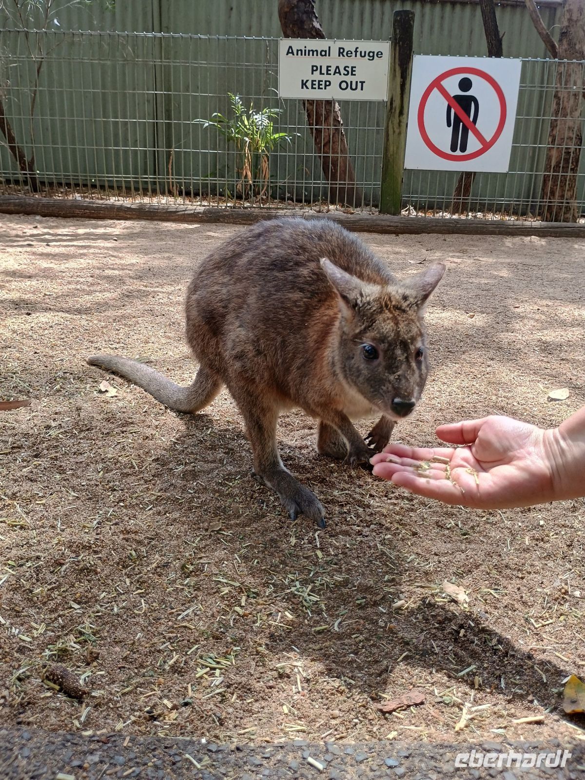 Sydney - Featherdale Wildlife Park