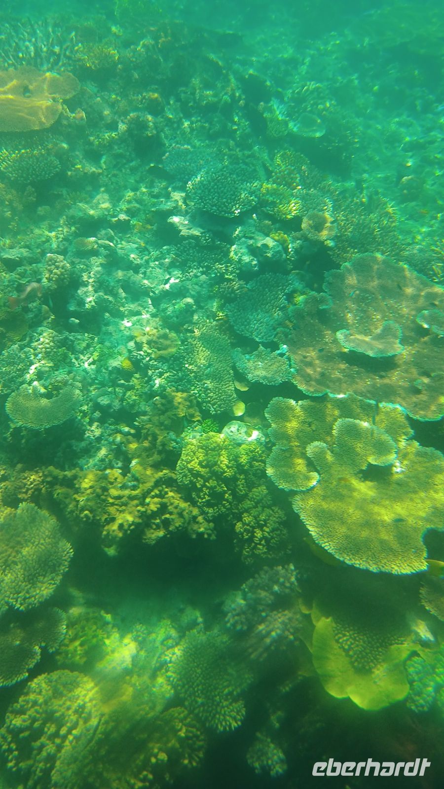 Cairns - Great Barrier Reef