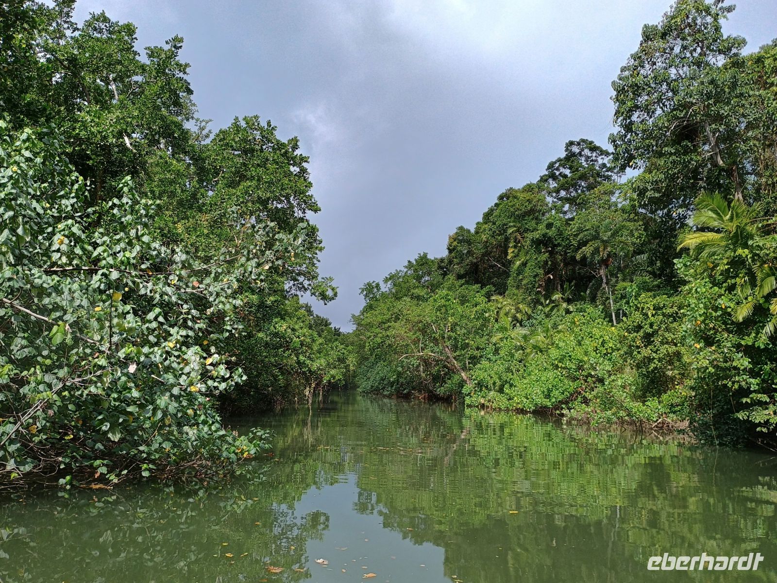Cairns - Daintree Fluss