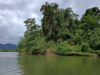 Cairns - Daintree Fluss