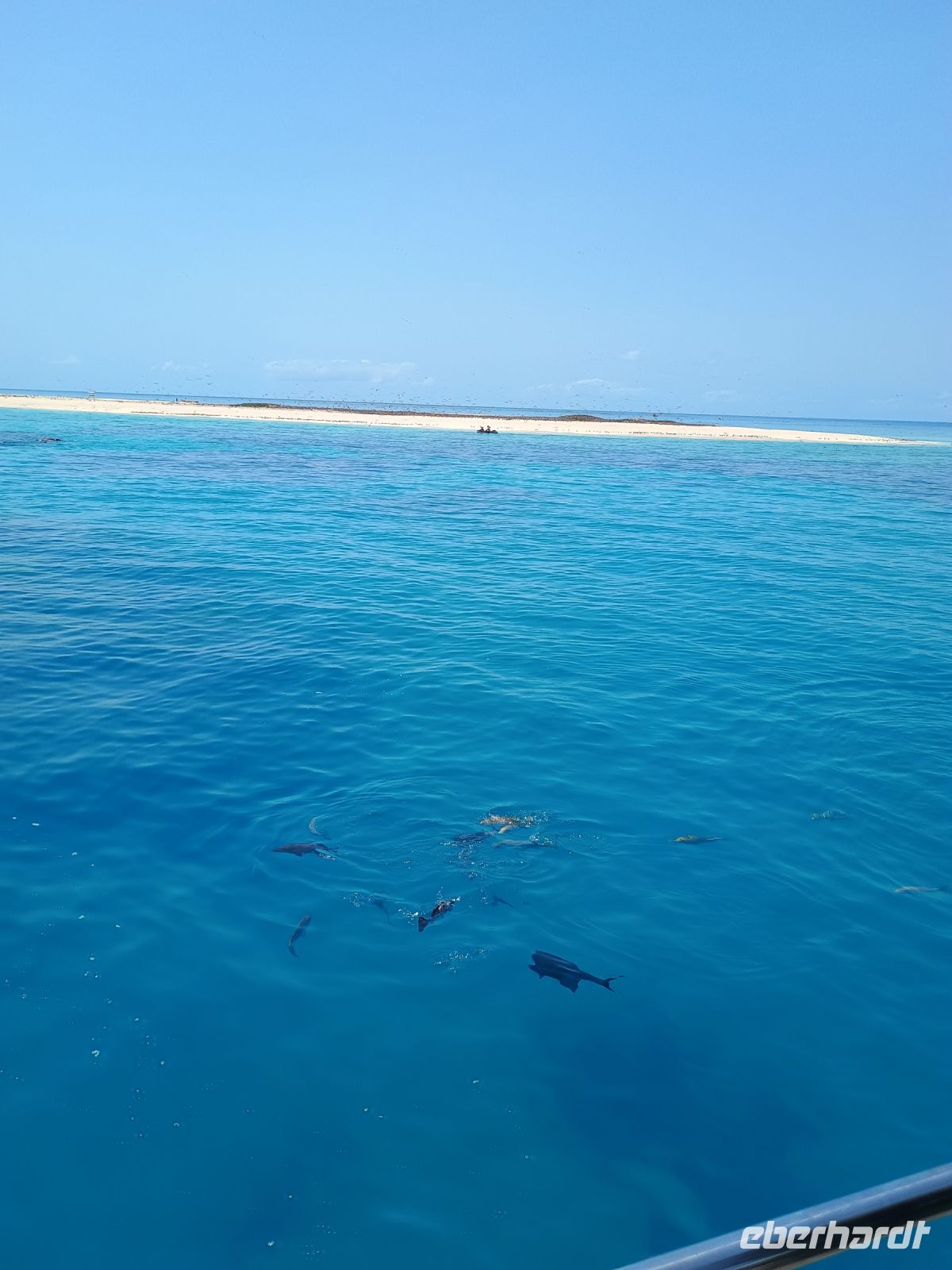 Cairns - Great Barrier Reef