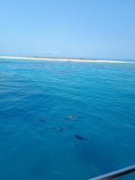 Cairns - Great Barrier Reef