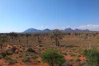 Outback - Kata Tjutas