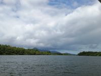 Cairns - Daintree Fluss