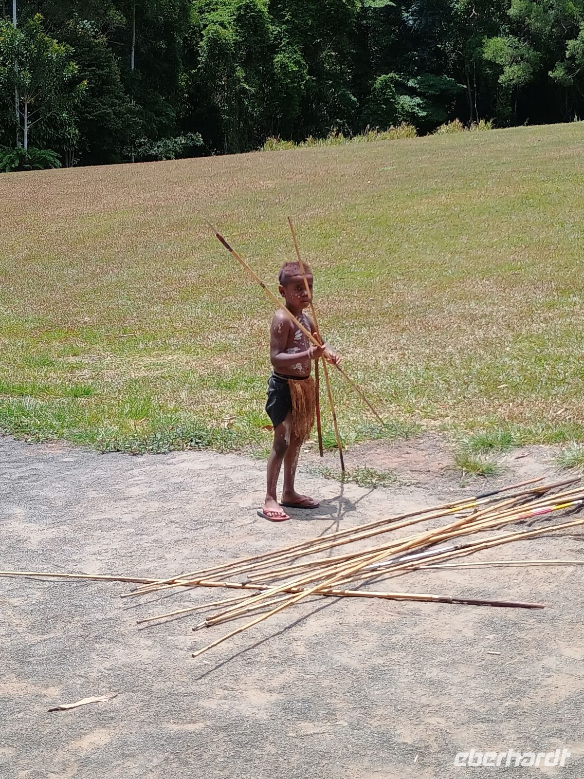 Cairns - Rainforest Station