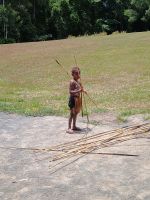 Cairns - Rainforest Station