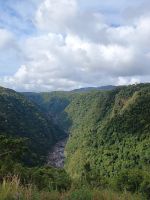 Cairns - Scenic Railway