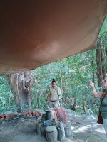 Cairns - Mossman Gorge