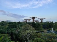 2. Reisetag – Ankunft in Singapur – Supertrees in den Gardens by the Bay