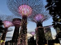 2. Reisetag – Ankunft in Singapur – Supertrees in den Gardens by the Bay