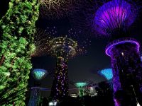 2. Reisetag – Ankunft in Singapur – Lichtershow „Garden Rhapsody“ in den Gardens by the Bay