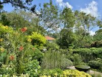 3. Reisetag – Stadtrundfahrt in Singapur – Nationaler Orchideengarten im Botanischen Garten