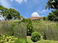 3. Reisetag – Stadtrundfahrt in Singapur – Nationaler Orchideengarten im Botanischen Garten