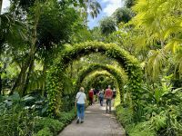 3. Reisetag – Stadtrundfahrt in Singapur – Nationaler Orchideengarten im Botanischen Garten