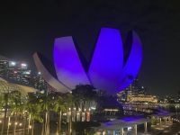 Australien - grenzenloses Fernweh: Singapur - das neue Kunstmuseum bei Nacht