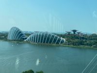 Australien - grenzenloses Fernweh: Singapur - Die beiden großen Gewächshäuser