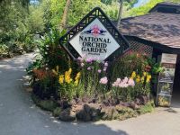 Australien - grenzenloses Fernweh: Singapur  - Eingang zum Orchideengarten