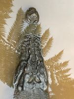 Australien - grenzenloses Fernweh: Endlich ein stattlicher Bursche!         OK, Fake!