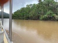 Australien - grenzenloses Fernweh: Mit dem Boot auf dem Daintree River
