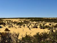 5. Reisetag – Tagesausflug in den Norden von Perth – Pinnacles im Nambung-Nationalpark