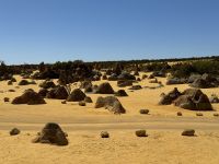 5. Reisetag – Tagesausflug in den Norden von Perth – Pinnacles im Nambung-Nationalpark