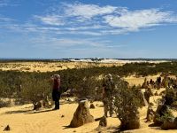 5. Reisetag – Tagesausflug in den Norden von Perth – Pinnacles im Nambung-Nationalpark