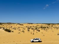 5. Reisetag – Tagesausflug in den Norden von Perth – Pinnacles im Nambung-Nationalpark