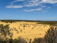 5. Reisetag – Tagesausflug in den Norden von Perth – Pinnacles im Nambung-Nationalpark