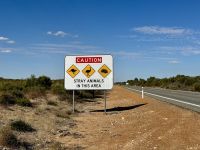 5. Reisetag – Tagesausflug in den Norden von Perth – Warnschild auf der Rückfahrt