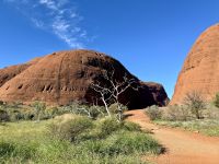 8. Reisetag – Kata Tjuta – Spaziergang in die Walpa Gorge