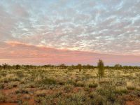 9. Reisetag – Sonnenaufgang am Uluru