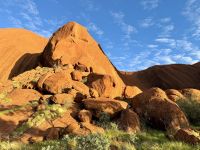 9. Reisetag – „Kunja Walk“ zum Wasserloch am Uluru