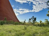 9. Reisetag – „Kunja Walk“ zum Wasserloch am Uluru