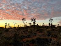 9. Reisetag – Sonnenaufgang am Uluru